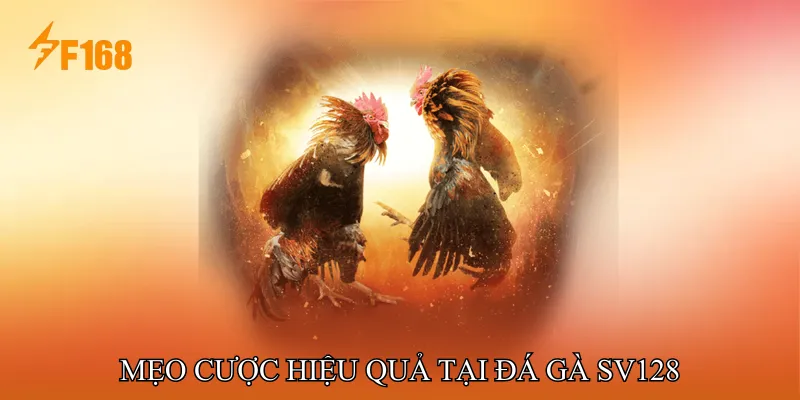 Mẹo cược hiệu quả tại Đá gà SV128 Mẹo cược hiệu quả tại Đá gà SV128